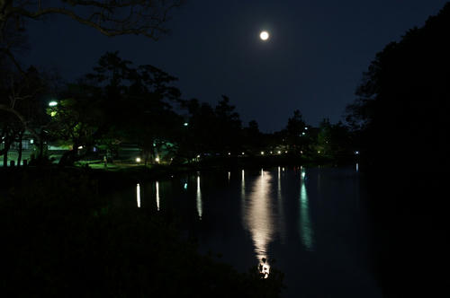 DSC08783.JPG