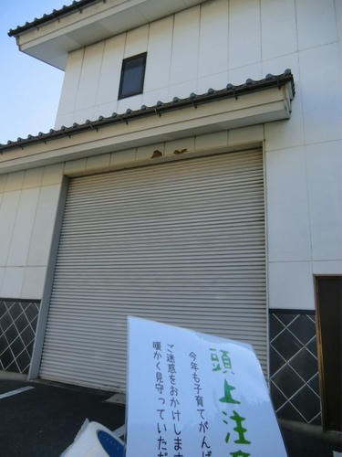 CIMG1393.JPG