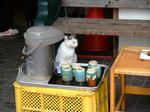 DSCF2542.JPG