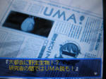 UMA記事2