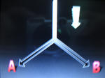 形成場1