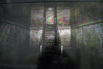 IY6-8