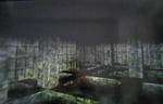 IY8-3