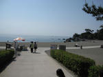 IMG_0980.JPG