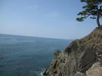 IMG_0989.JPG