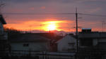 IMG_3737.JPG