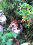 070502_1433~0001.JPG