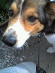 070504_1620~0003.JPG