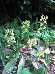 070504_1621~0002.JPG