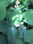 070513_0820~0002.JPG