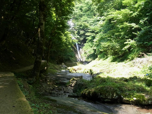 RIMG0050.JPG