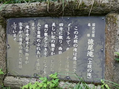 RIMG0057.JPG