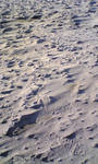 DVC00071.JPG