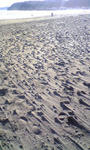DVC00076.JPG