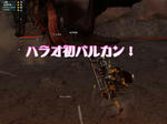 042613ee.JPG