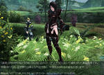 5204fe67.jpeg