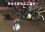 1a680130.jpeg