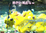 5496cd04.jpeg