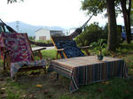 f2d8d743.jpg