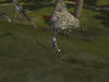 fe5bccb6jpeg