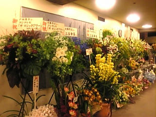 お花