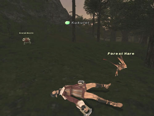 GW-20080517-195509.jpg