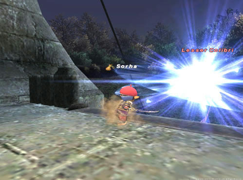 GW-20081110-201550.jpg