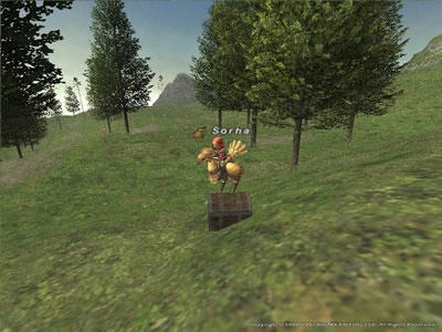S240.jpg