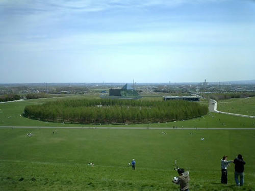S272.jpg