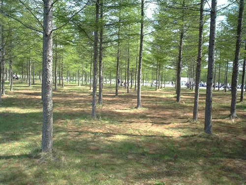 S284.jpg