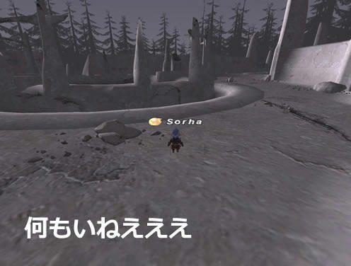 GW-20100418-173205_r2_c2.jpg