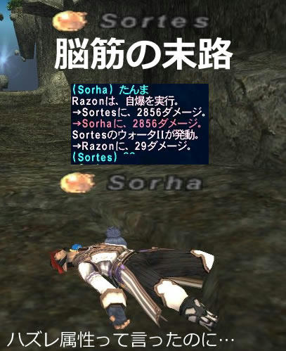 cdb08107.jpeg