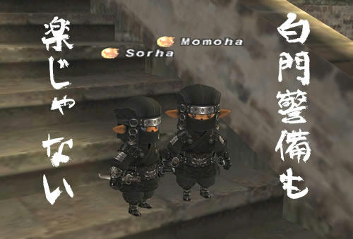 GW-20110120-134318_r2_c2.jpg