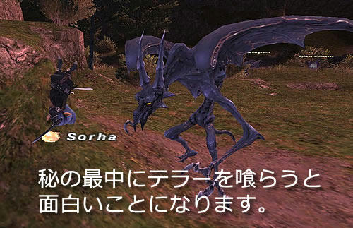 GW-20110117-000115_r2_c2.jpg