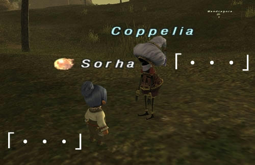6bf6b604.jpeg