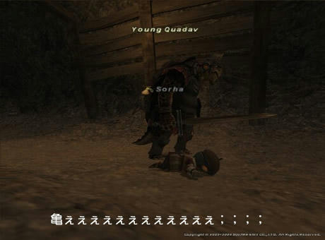 ff11-139_.jpg
