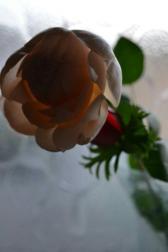 807f6780.jpg