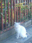 PA0_0004.JPG