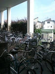 PA0_0002.JPG