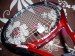 PB210008.JPG