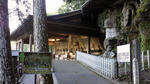 NEC_0026.jpg