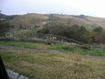 DSCN1919.jpg