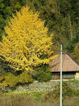 DSCF3476.jpg