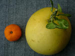 DSCF3480.jpg
