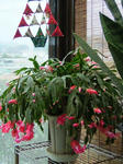DSCF3492.jpg