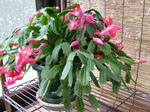 DSCF3494.jpg