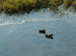 DSCF3499.jpg