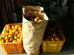 DSCF3505.jpg
