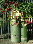 DSCF3525.jpg