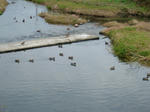 DSCF3530.jpg